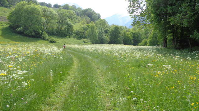 Chemins de passage l Renc'Arts du Parc