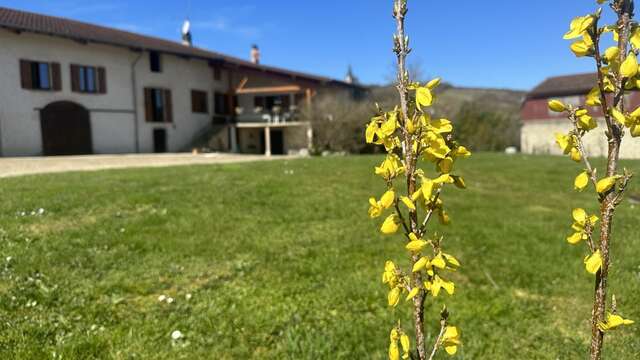 Le Perroux