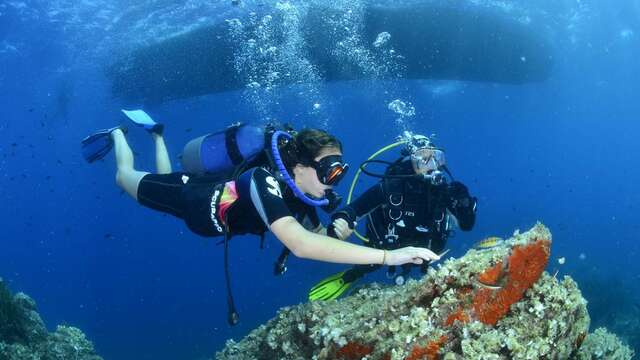 Plongée de plaisir à Sainte-Maxime