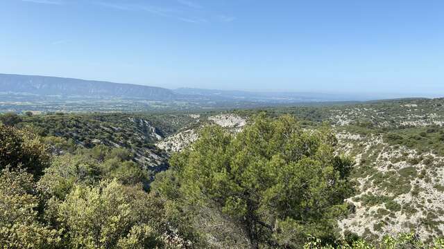 Sentier du maquis par la Sénancole : Nature et Mémoire