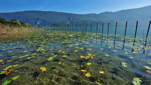 A.A.P.P.M.A. - Lac d'Aiguebelette angling association