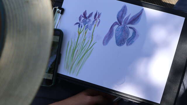 Naturalist watercolor workshop