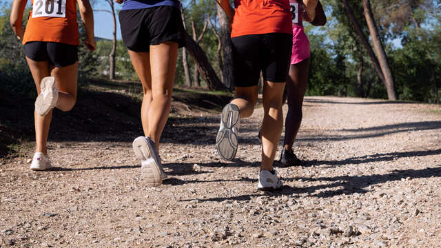 Demi-finale du Championnat de France de Cross