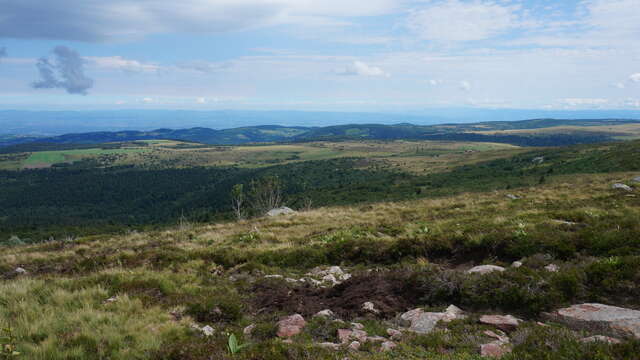 Les plateaux de Pierre sur Haute