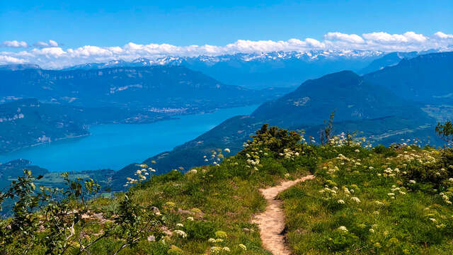 Randonnée pédestre : boucle des alpages du Grand Colombier