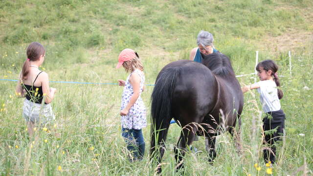 Ateliers "Découvrir le cheval autrement"