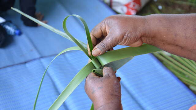 Braiding Workshop - Netoro Association