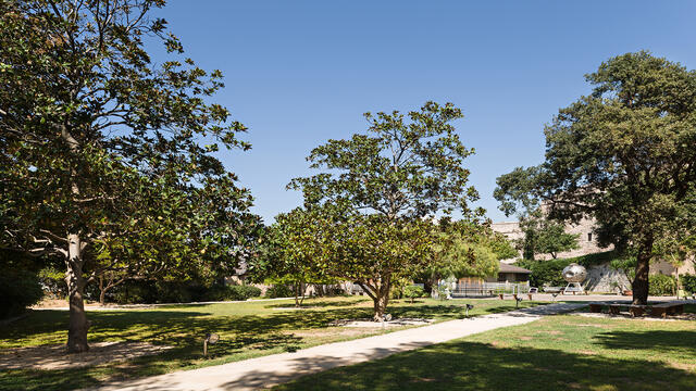 Jardin