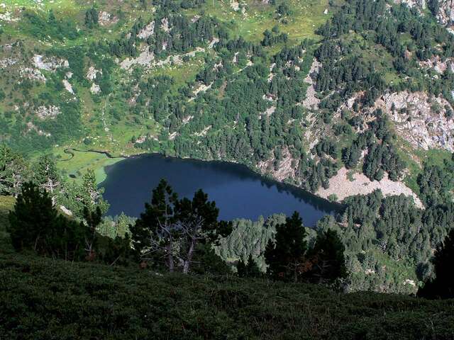 L'Etang de Balbonne