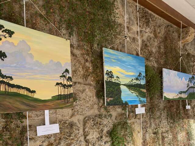 Exposition "Lacs et forêts des Landes" par Michel Herman