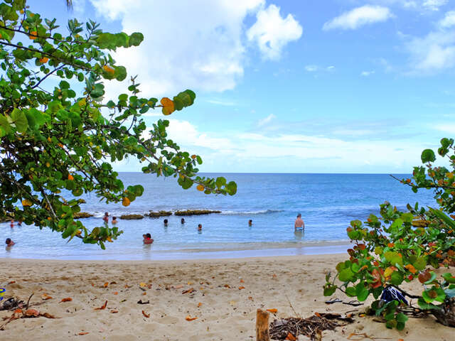 Plage de l'Anse Désert