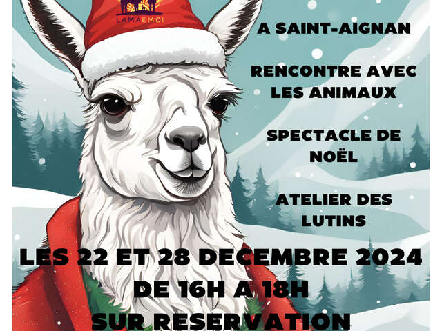 Noël chez Lama Emoi