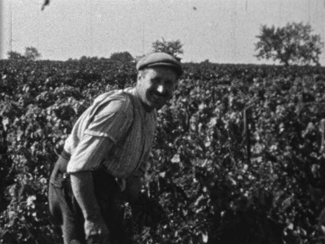 Film : La vigne, le vin et les vignerons