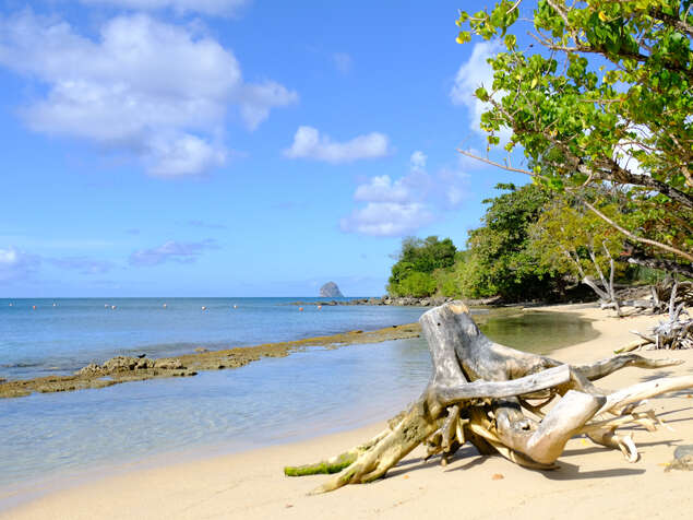 Plage de l'Anse Mabouya