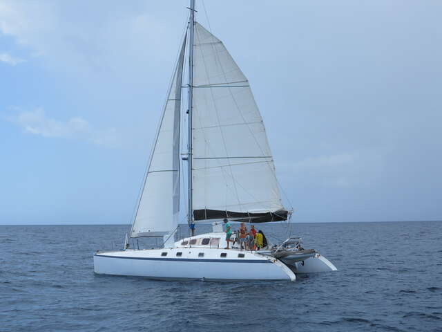 Sorties en mer : Belle-Ile Voile