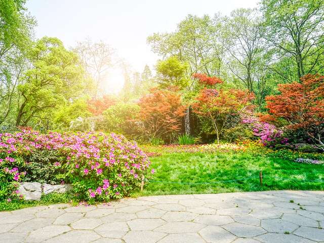 Parc Botanique du Prieuré d’Orchaise