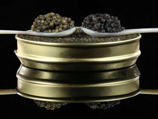 CAVIAR PERLE NOIRE