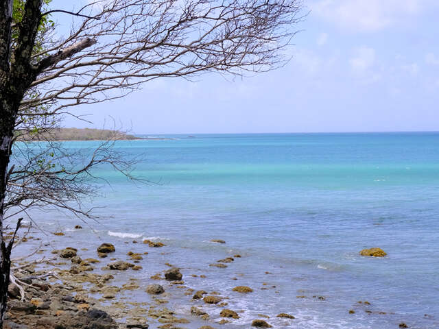 La Trace des Caps 5 : Salines - Anse Caritan