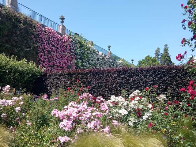 Les jardins de Blois