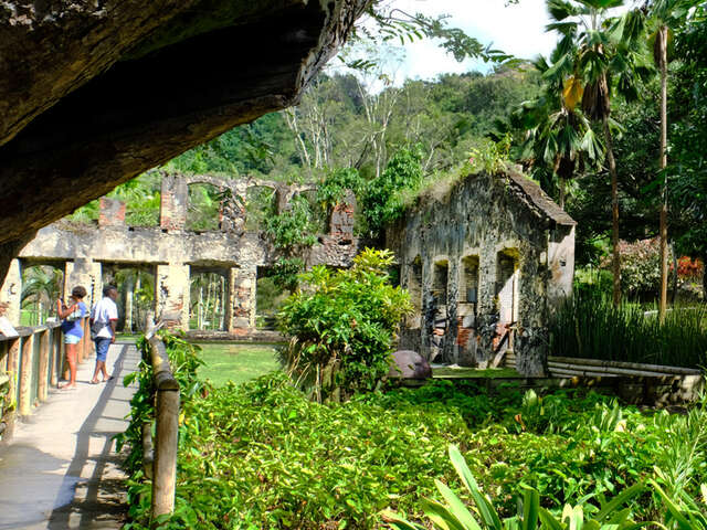 Zoo de Martinique - Jardin de l'Habitation Anse Latouche