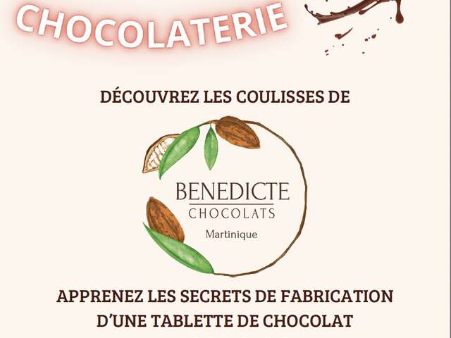 Initiation à l'art de la chocolaterie (Bénédicte Chocolats)