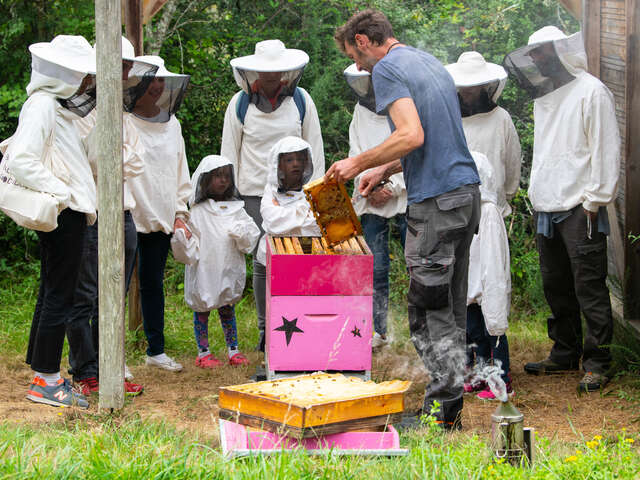 Le Rucher de l'Abeille Noire