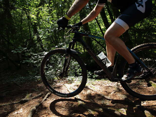 Circuit VTT 15 - L'Étoile d'Andaine