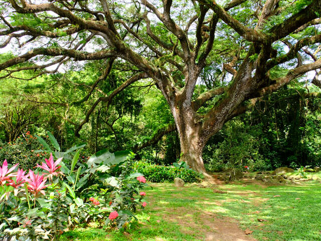 Habitation Céron