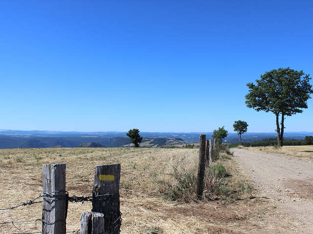 La Draille