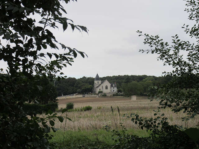 Boucle équestre Vallée de la Cisse