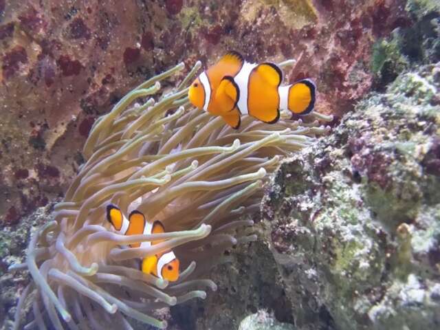 Aquarium de Dunkerque