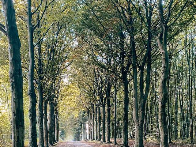 Promenade de petit-Modave