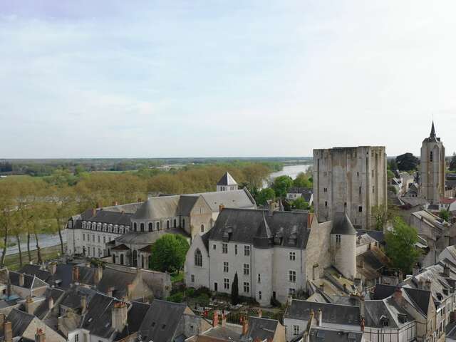 Château de Beaugency