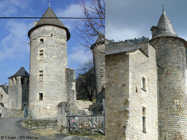 CHATEAU DE SAINT-SATURNIN DE TARTARONNE