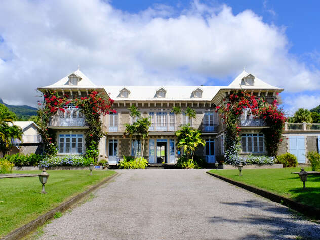 Plantation de la Montagne Pelée - Château Depaz