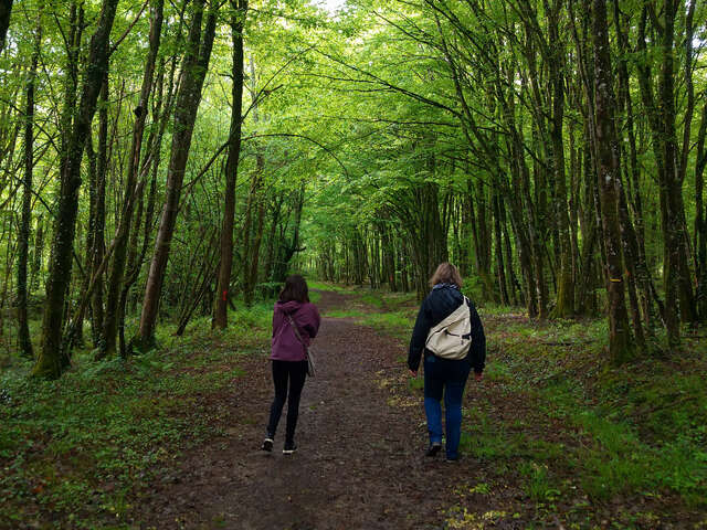 Entre Dame et Chevalier