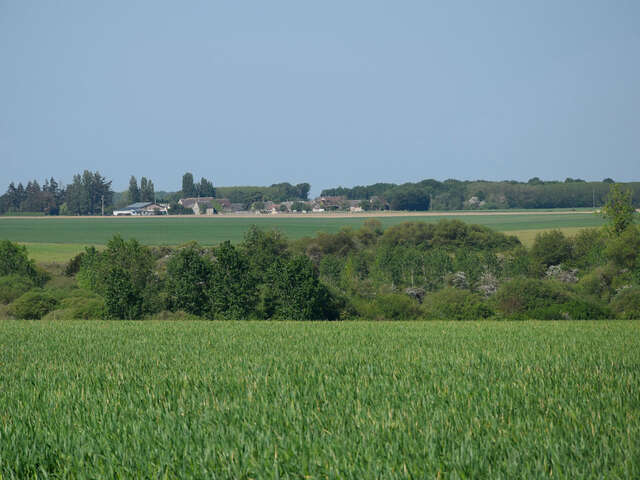 Randonnée équestre en petite Beauce