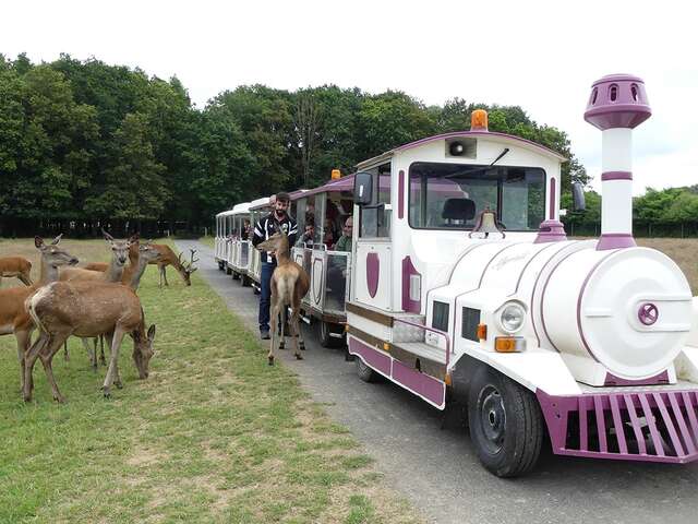 Safari Train - Réserve de Beaumarchais