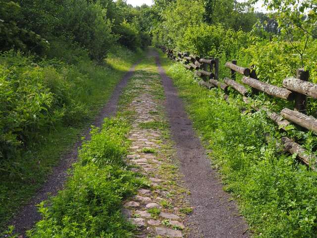 Rando-découverte : le terril de l'Escarpelle