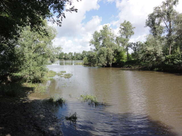 Rando : de l'Aumône de Candé-sur-Beuvron