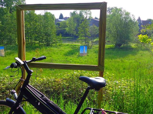 A la découverte du saule !