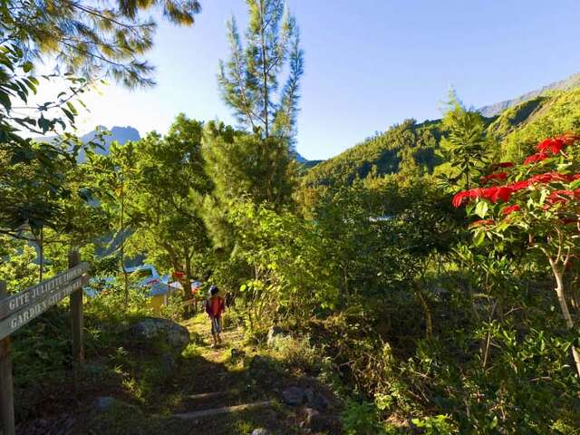 Roche Plate - Cayenne