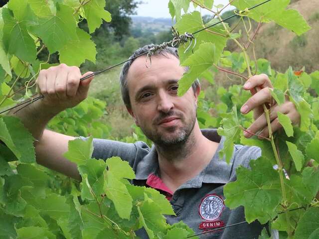 DOMAINE LES PYRÉNÉALES