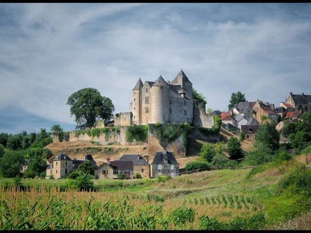 Château de Salignac