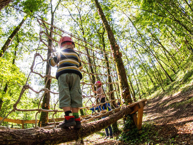 Le Bois des Elfes