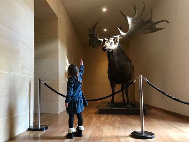 Les vacances d'été au Musée national de Préhistoire