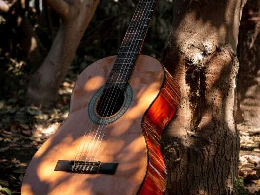Diner concert avec Stéphane Raux
