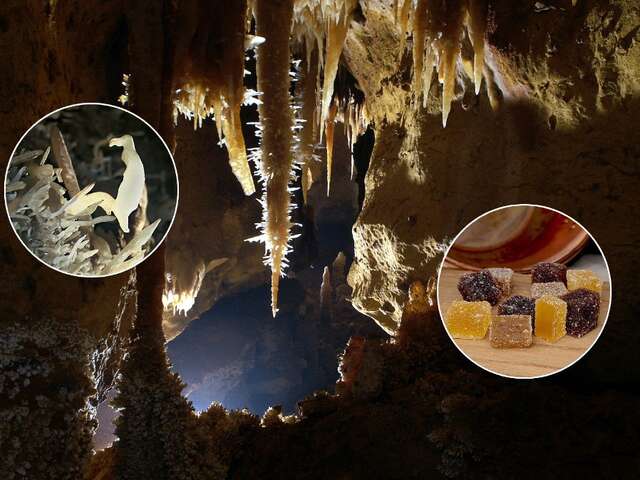Février Gourmand à la grotte de Maxange
