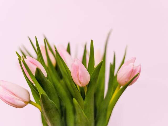 Journée de la femme