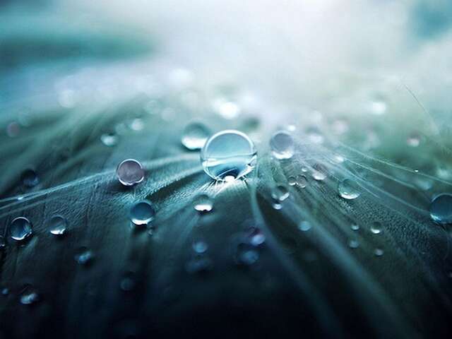 Exposition :L'eau une richesse à préserver